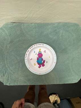 Vintage 1992 Barney & Friends Strike Up The Band Child's Melamine Plate